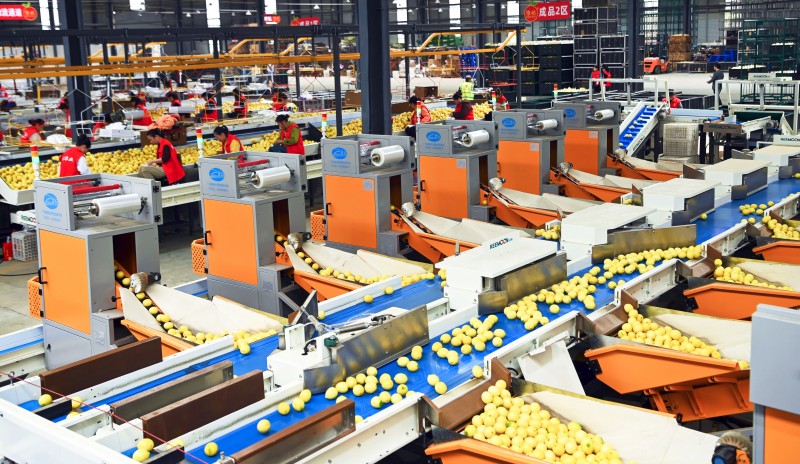 “安岳柠檬”品牌建设案例入选《全国果业品牌建设10周年经典案