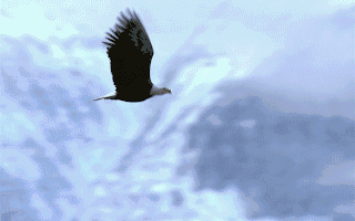 厂商动态_天极资讯频道_IT行业资讯_互联网_电商打造科技行